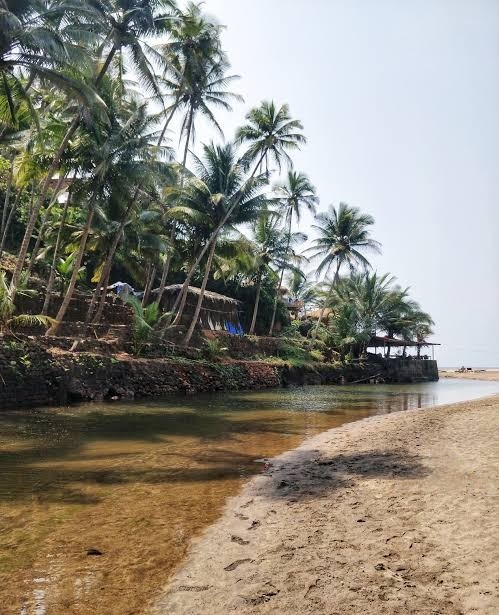Cola Beach 3 "Scenic lagoon surrounded by palm trees at Cola Beach, South Goa"