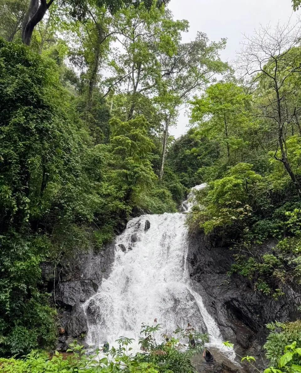BAMANBUDO WATERFALL