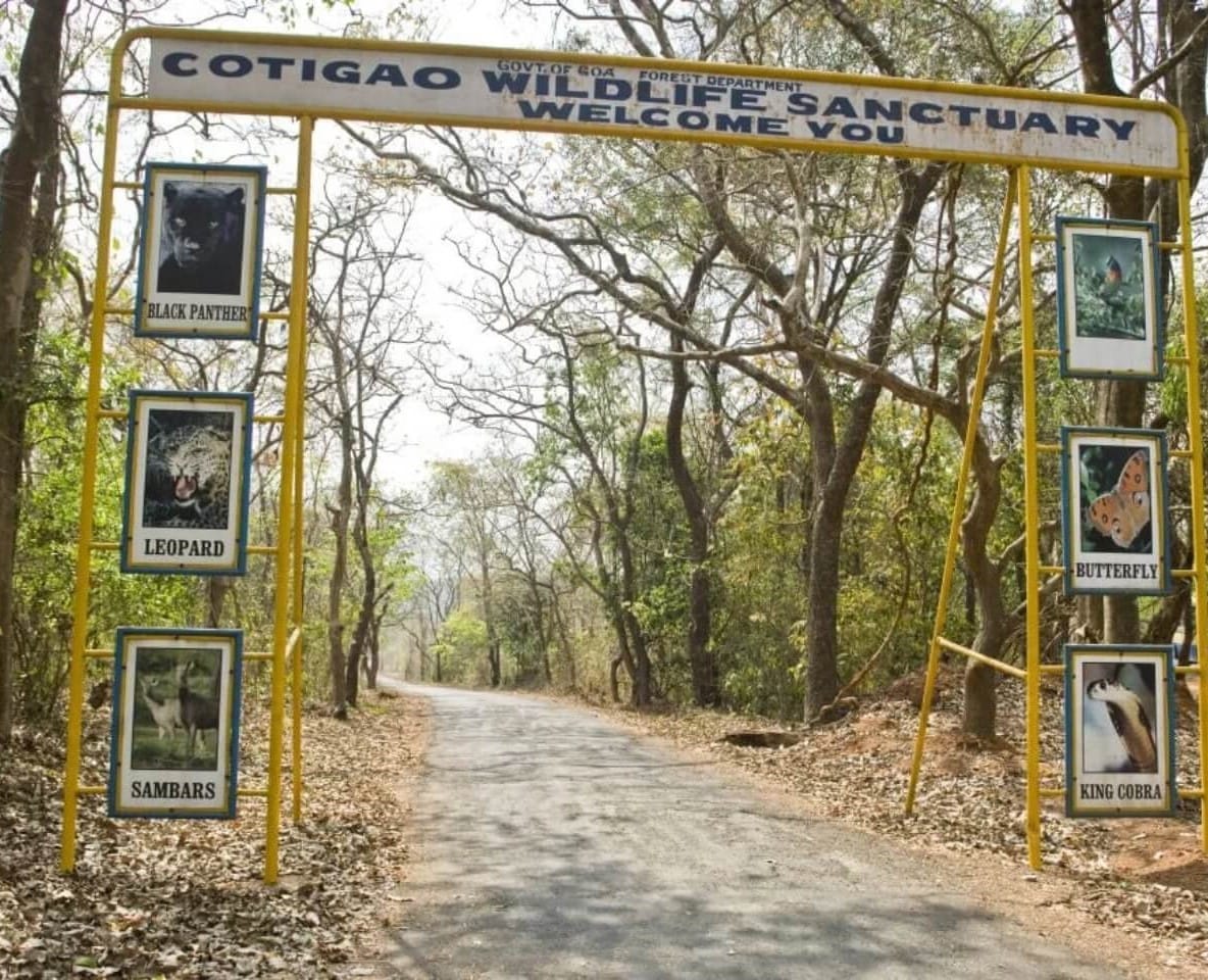 Cotigao Wildlife Sanctuary