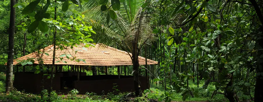 Tanshikar Spice Farm