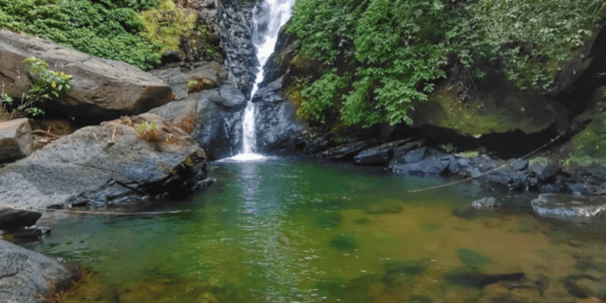 SAVARI WATERFALL